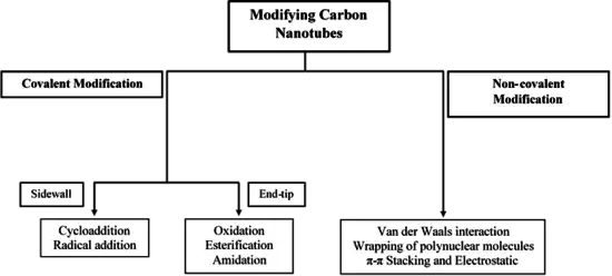 Représentation structurée par des cadres et des flèches des modifications possibles des nanotubes.