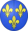 Blason de Jeanne de France, reine de France