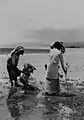 Femmes amboinaises cherchant des crabes, avant 1940.