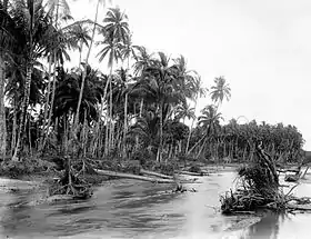Photo vers 1910 de l'embouchure de la rivière Dabo sur l'île Singkep