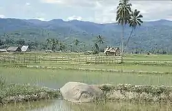 Vue de la vallée de Bada avec une statue mégalithique au premier plan