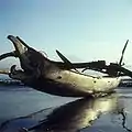 Bateau balinais sur la plage de Sanur (entre 1960 et 1980)