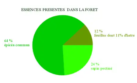 Composition de la forêt de Crest-Voland