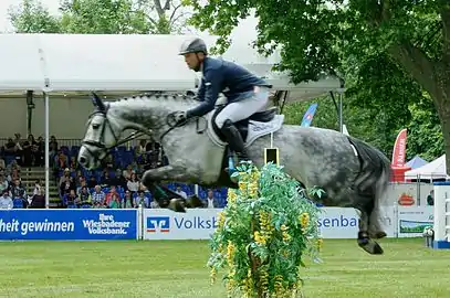 CSIYH* Wiesbaden 2015