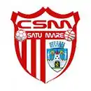 Logo du CSM Satu Mare