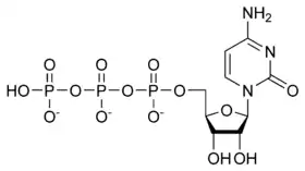 Image illustrative de l’article Cytidine triphosphate