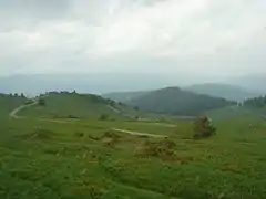 Plus bas la route des derniers kilomètres du col du Petit Ballon grimpé par les versants de Luttenbach et Wasserbourg.