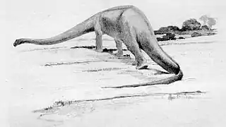 Diplodocus(Charles R. Knight, 1912)