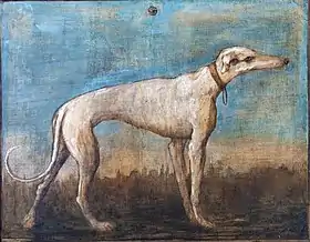 Peinture d'un lévrier whippet, comme Petit Papa Noël.(Giandomenico Tiepolo - 1791)