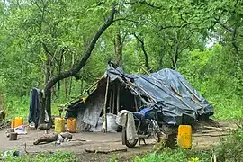 Cabane de charbonnier.