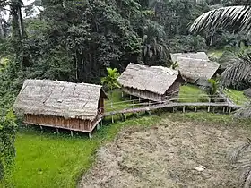 Cabanes dans la forêt d'Oveng