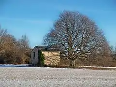 Cabanon à Revest-du-Bion.