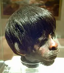 Photographie d'une tête réduite exposée dans un musée