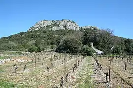 Château vu du sud.