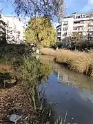 Cachan Bièvre en eau.