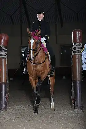 Image illustrative de l’article Équitation de tradition française