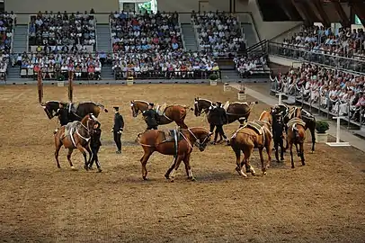 Reprise des sauteurs à la main, présentation publique