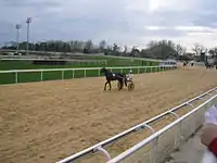 Vue des différentes pistes de l'hippodrome