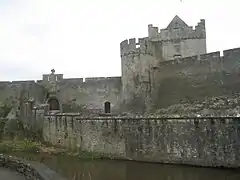 Château de Cahir.