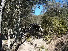 Le dolmen dans son environnement, depuis le sud.