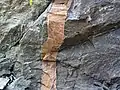 Dyke de calciocarbonatite. Greenstone belt de Michipicoten (Ontario, Canada).