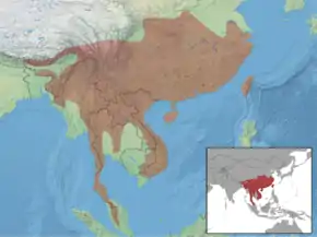 Aire de répartition de l'Écureuil à ventre rouge