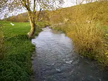 La Calonne (rivière), affluent de la Touques à Saint-Pierre-de-Cormeilles.
