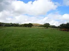 La calotte avec sa forme arrondie.