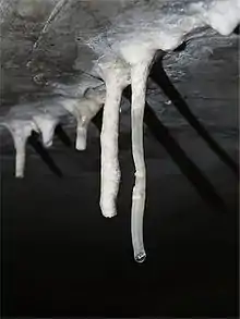 Structure minérale blanchâtre tombant d'une paroi de béton, formant une stalactite.