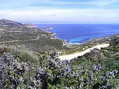 Plage  de l'Alga.