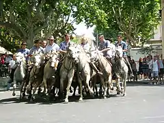 Fêtes de Calvisson