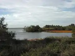 L'étang de Vaccarès en Camargue.