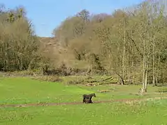 Paysage, près de Vaux