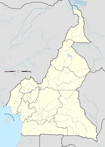 Carte des aéroports du Cameroun