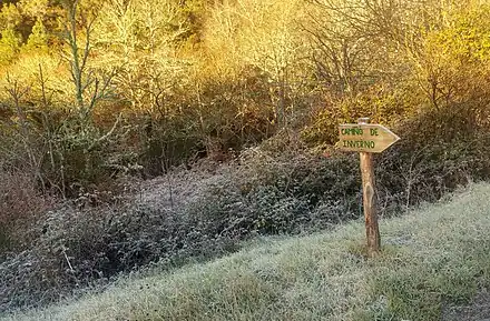 Une des marqueurs du Camino de Invierno près de Quiroga