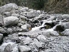 Torrent du Salto del Tabaquillo, province de San Luis, en 2000