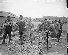 Camouflage sur le Front Est à Basseux, 1914-1918.