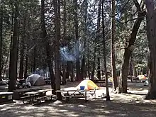 Photographie de tentes dans un bois
