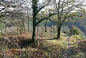 Camp protohistorique de Kastel-Ker-Nevé (aussi nommé Camp de César)