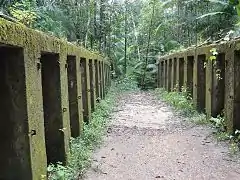 Allée entre les vestiges.