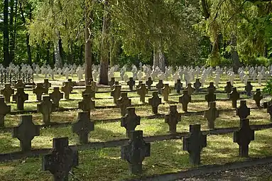 Le vieux cimetière de Lambinowice. Mai 2020.