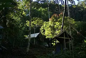 Quelques bungalows perchés sur la colline au cœur de la forêt.