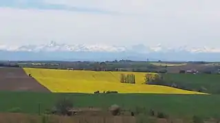 Vue sur les Pyrénées.