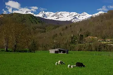 La campagne d'Oust est une zone de prairies entre le village et le Salat.