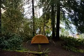 Camping au bord du lac Quinault
