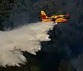 Canadair en action sur un incendie.