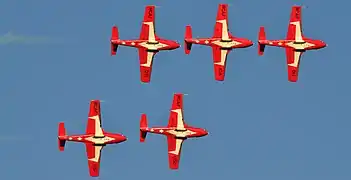 Les Snowbirds lors d'un spectacle aérien à Québec.