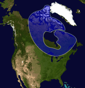 Surface couverte par le bouclier canadien en Amérique du Nord.