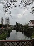 Le canal.
