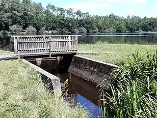 Canal de Ceyrolle (ruisseau de Tirelagüe), exutoire de l'étang
